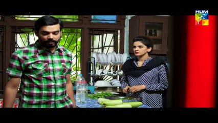 Digest Writer Episode 18 Full HUM TV Drama Jan 31, 2015