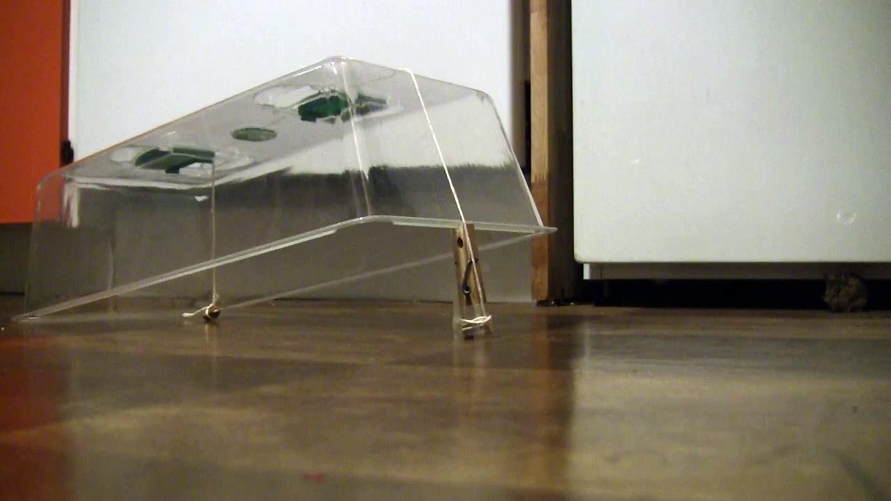 souris intelligente