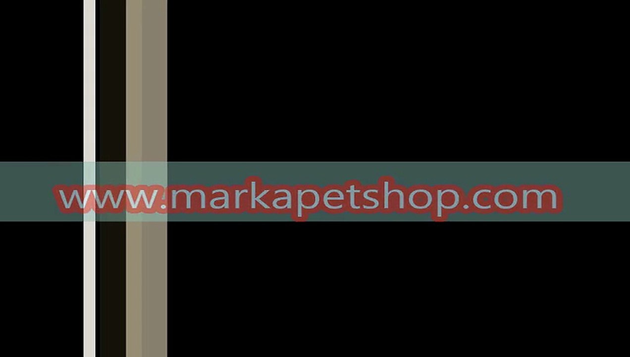 tavuk kafesleri fiyatları,tavuk kafesleri fiyatı,tavuk kafesi üretimi,satılık tavuk kafesleri,yumurta tavuk kafesleri