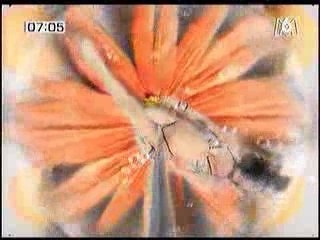 La Poupée Qui Fait Non