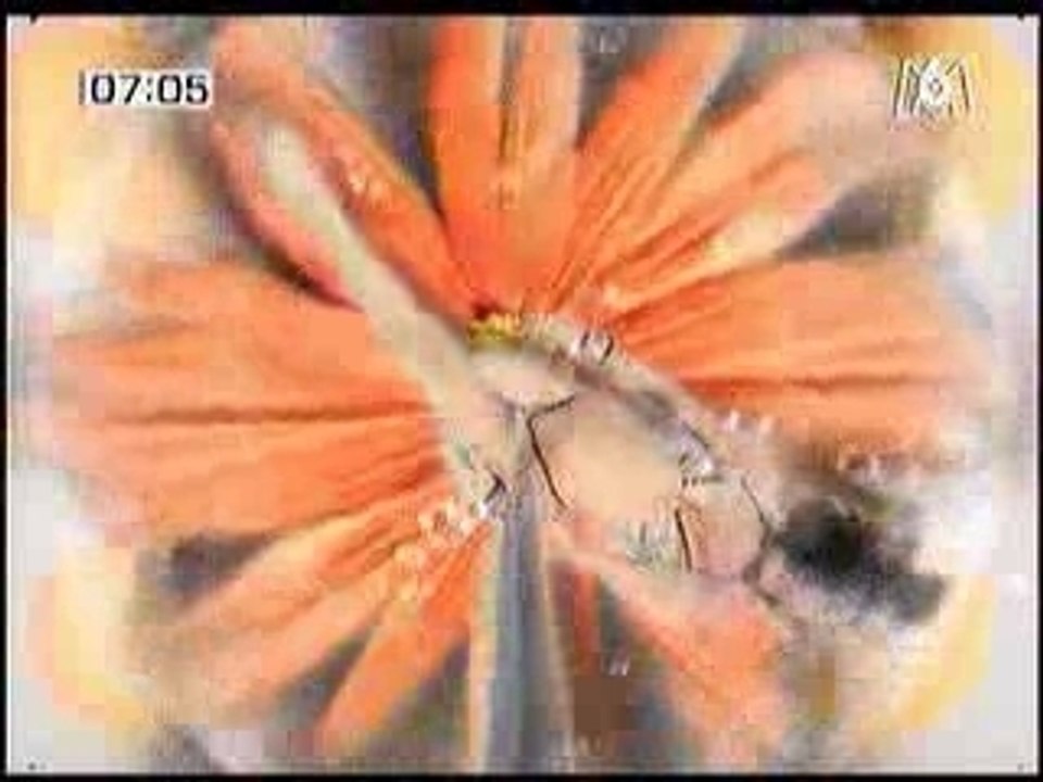 La Poupée Qui Fait Non