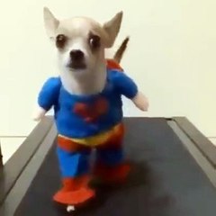 Superchi is here to save the worldMore Amazing Article , Please Visit http://b...