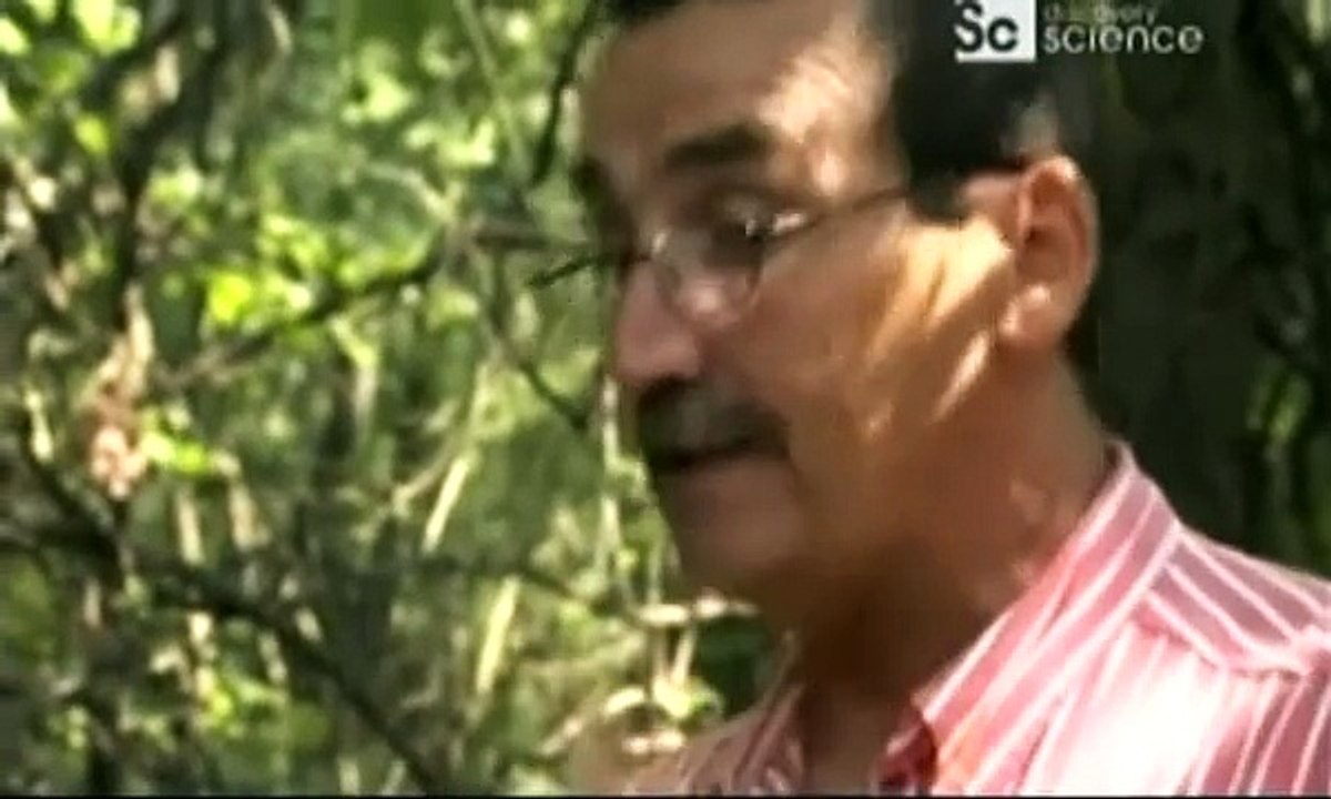 Ovnis en el planeta Tierra