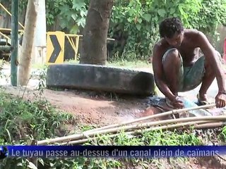 Les habitants d'une favela de Rio défient les caïmans pour l'eau potable