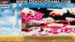 Dil Nahi Manta Drama Episode 13 Promo On  Ary Digital