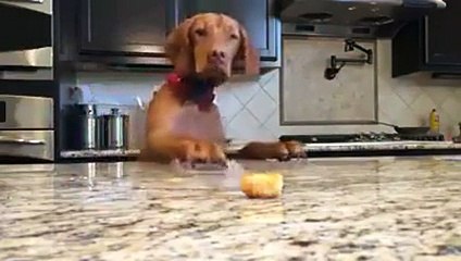 I Want Food!!! I Want Food!!! More Amazing Article , Please Visit http://buz...