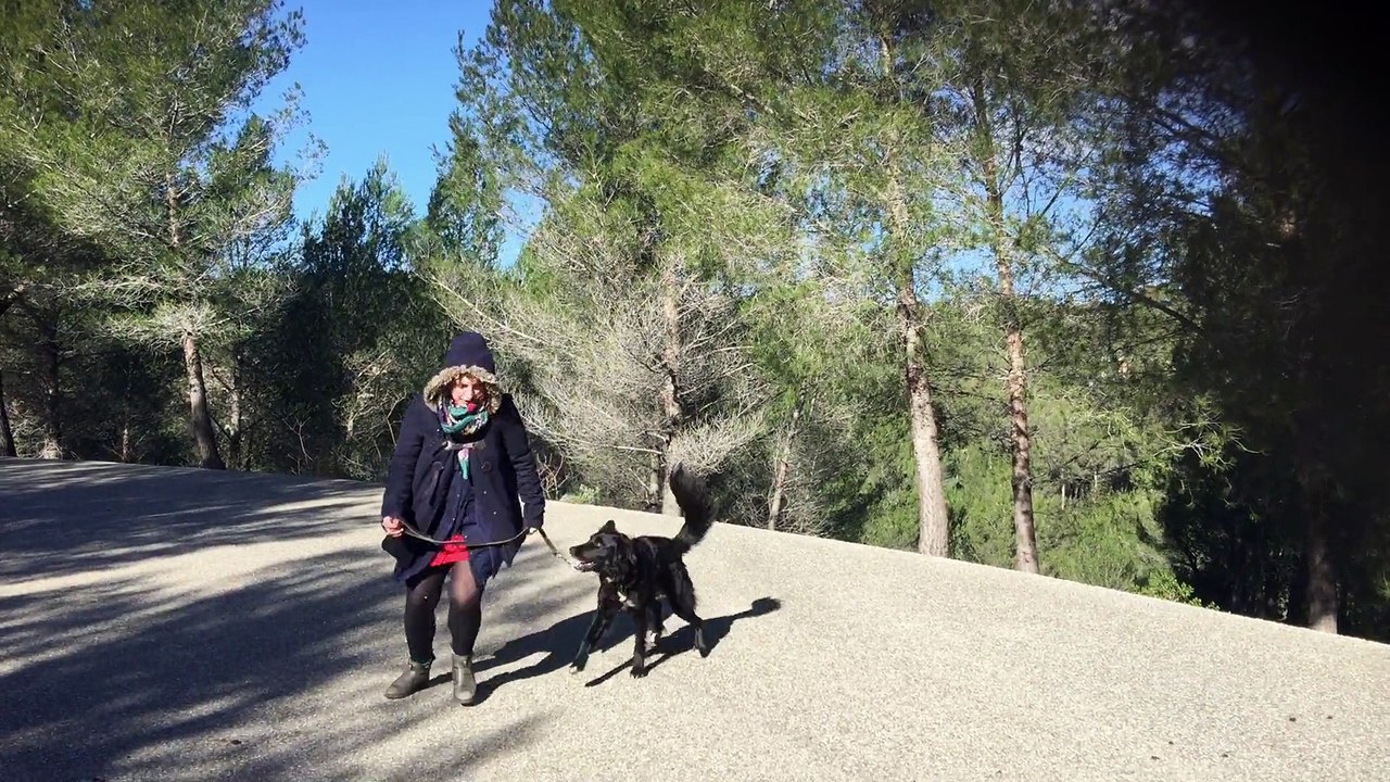 dressage canin la ciotat 13 Education canine la ciotat complicité entre le chien et sa maitresse