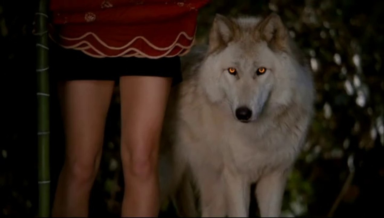 True Blood: Werewolves - We choose pack!