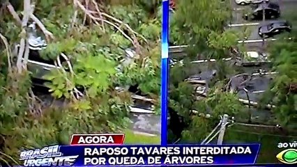 Chuvas em São Paulo - janeiro 2015