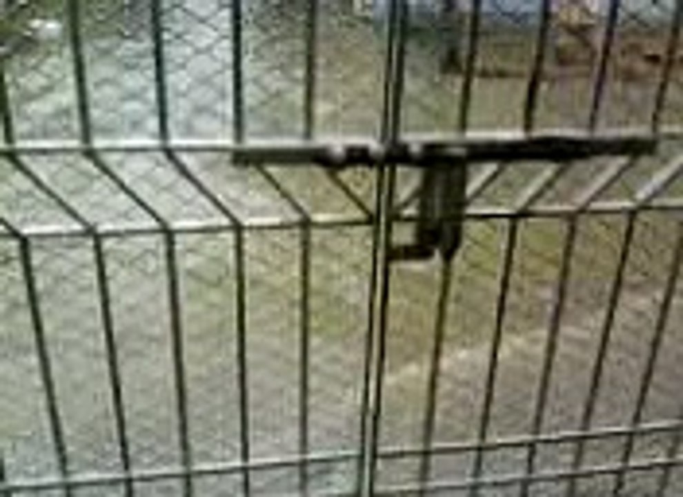 SALAB