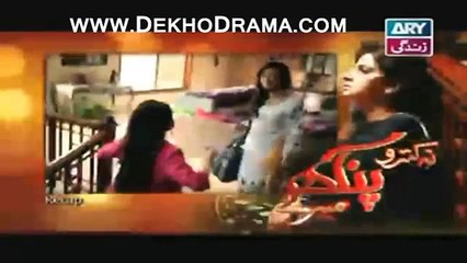 Na Kutro Pankh Mere Episode 17 Full Drama on Ary Zindagi January 31, 2015