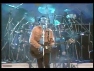 Les INDIFELES - Les larmes des maux ( cover )