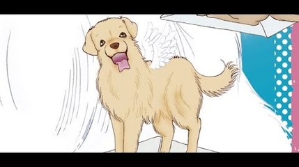 LE PARADIS DES CHIENS - MINI MENU MANGA