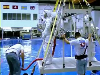 Psicologí­a fisiológica del cerebro humano.