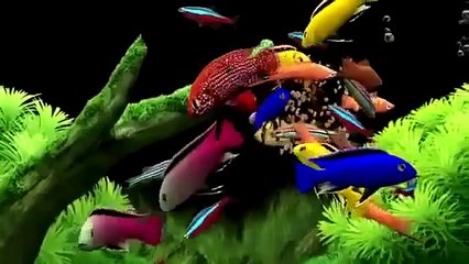 Un acuario en tu ordenador. Animales