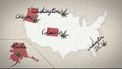 Demain le cannabis sera-t-il autorisé partout ? (L'Effet Papillon) (FR)