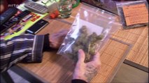 Légal, illégal, le cannabis en Europe (Yourope) (Arte) (FR)