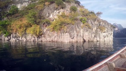 Chiao-Lan-See im Khao-Sok Nationalpark