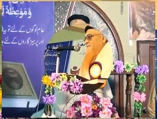 Salana Program DVD B 2014-15