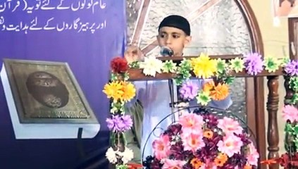 Salana Program DVD A 2014-15