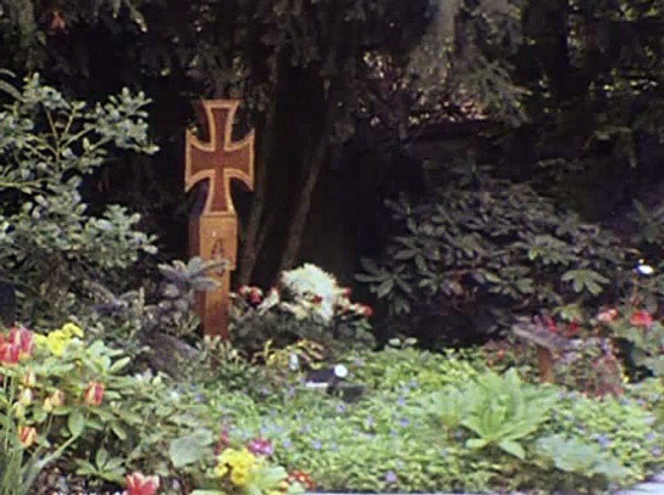 Rommel, el Zorro del Desierto  ( IIª Guerra Mundial )