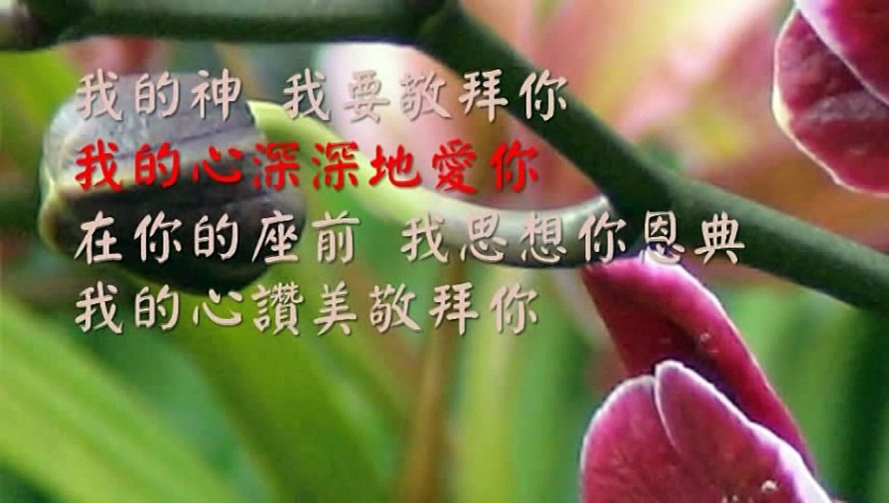 我的神我敬拜你