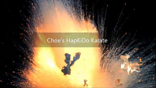 Martial Arts Dojo Duluth Georgia