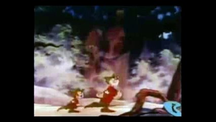 Katie bunny theme song