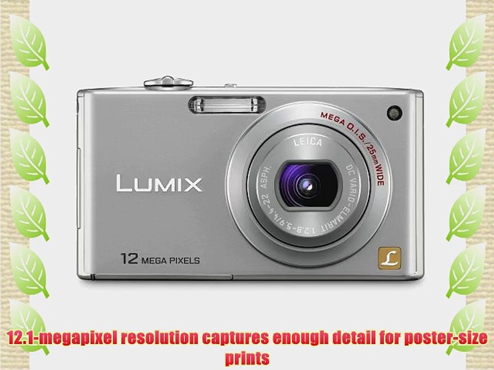 Panasonic Lumix DMC-FX48 12MP Digital Camera with 5x MEGA Optical Image Stabilized Zoom and