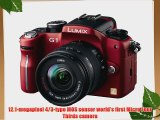 Panasonic Lumix DMC-G1 12.1MP Digital Camera with Lumix G Vario 14-45 mm f/3.5-5.6 ASPH Mega