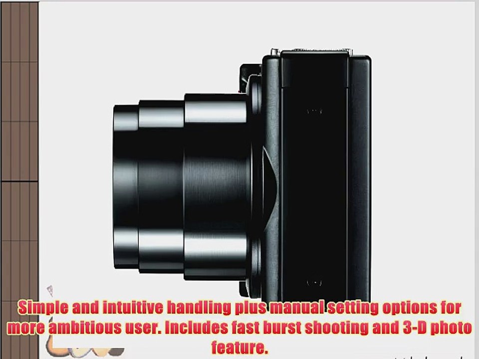 Leica 18176 V-LUX 40 14.1MP Compact Camera with 3.0-Inch TFT LCD (Black)