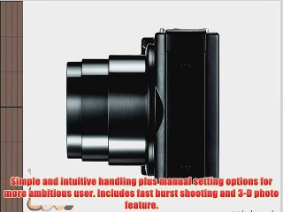 Leica 18176 V-LUX 40 14.1MP Compact Camera with 3.0-Inch TFT LCD (Black)