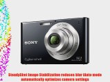 Sony DSC-W330 14.1MP Digital Camera with 4x Wide Angle Zoom with Digital Steady Shot Image