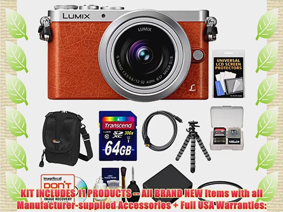 Panasonic Lumix DMC-GM1 Micro Four Thirds Digital Camera