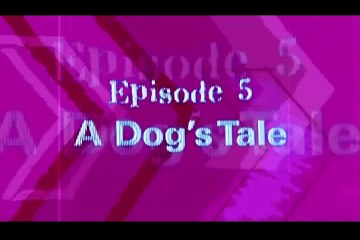 Learning English - New Headway Pre-Inter 5