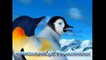 Funny Punjabi Penguins A Penguin Mehbooba Singing wey mein uddi uddi jaavan Cartoon Animation