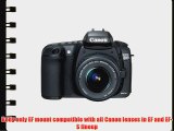 Canon EOS 20D DSLR Camera (Body Only) (OLD MODEL)