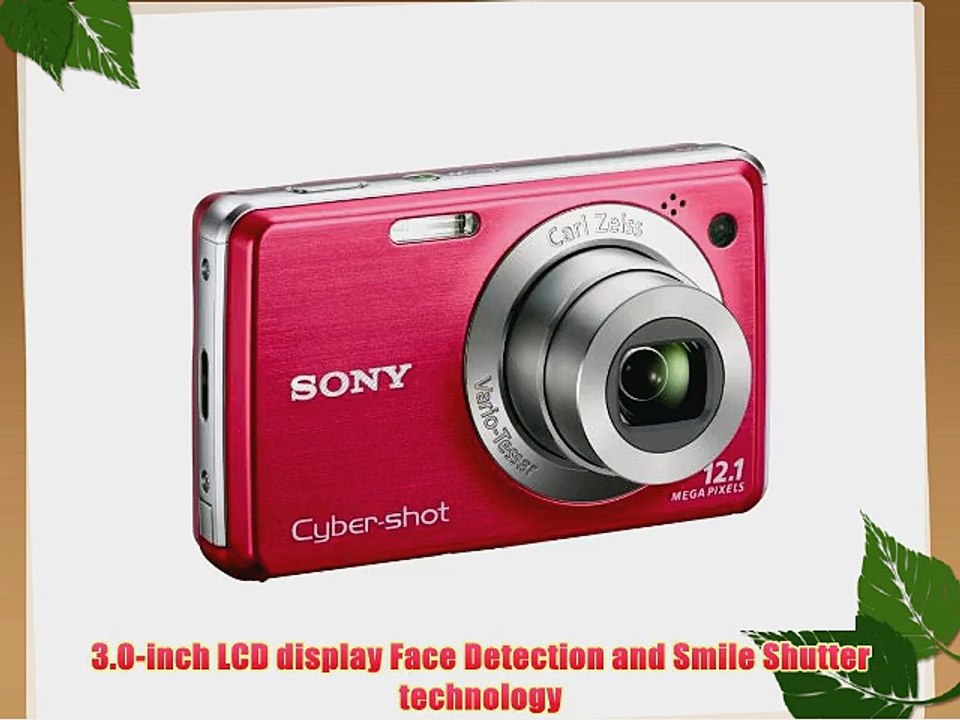Sony Cyber-shot DSC-W230 12 MP Digital Camera with 4x Optical Zoom and Super Steady Shot Image