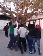 Humorous College Student Video Clips