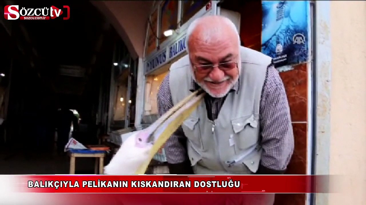 Balıkçıyla pelikanın kıskandıran dostluğu