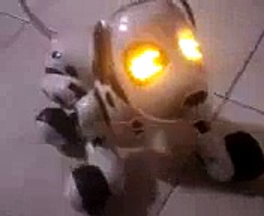 Zoomer