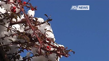 DOPO LA NEVE, IL GELO: TEMPERATURE IN PICCHIATA