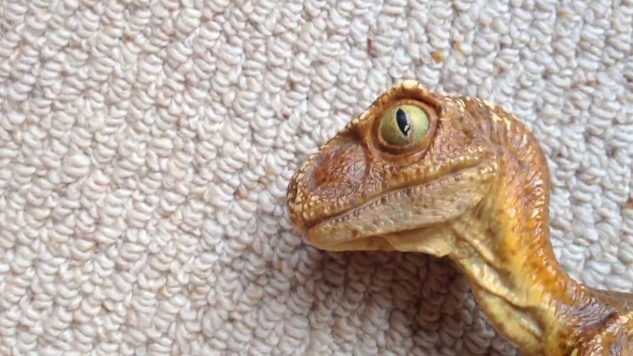 Jurassic Park Raptor Hatchling Stan Winston Macquette Paint Master