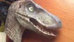 Jurassic Park 1:1 Fullsize Raptor Bust Replica