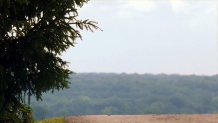 Beck. El ojo de la tormenta (2009)