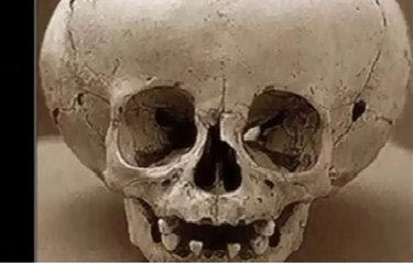 very strange creatures and creation of GOD must watch