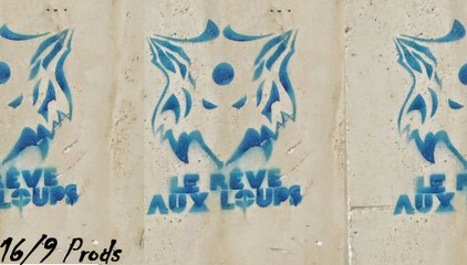 ◄♦►LE REVE AUX LOUPS DE JORDAN DIOW  by The Creative Machine◄♦►art roman cinema litterature musique peinture exposition politique paris val d'oise ile-de-france lyon marseille bordeaux festival film court cinema le conti l'isle-adam besancon