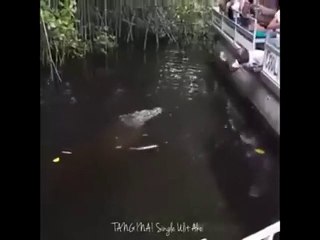 Awesome vid, don't miss it.......................