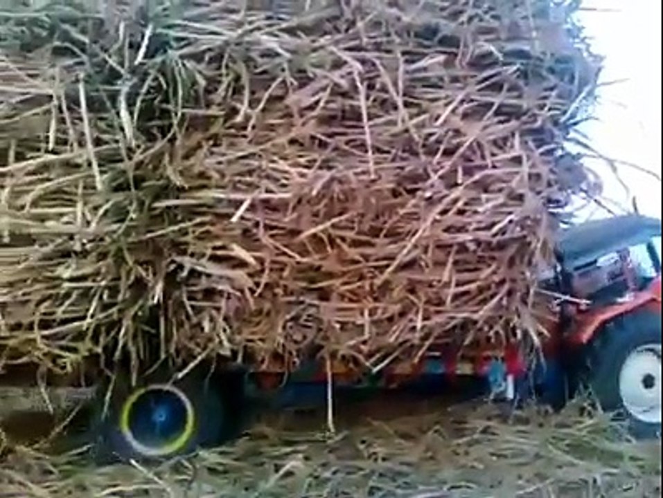 ٹریکٹر دا زور ویکھ کےجی