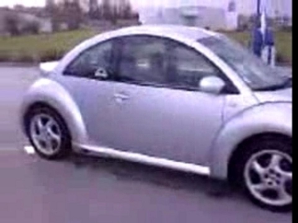 ma newbeetle
